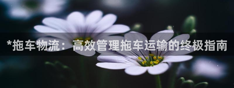 28圈充值不到账怎么办
