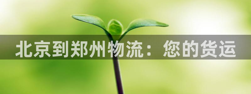 28圈系统自动保护
