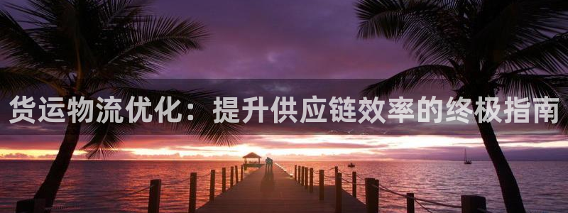 28圈.ccm正版：货运物流优化：提