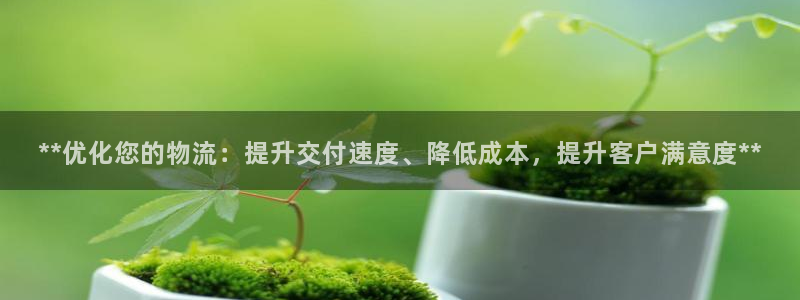 28圈预测加拿大师准
