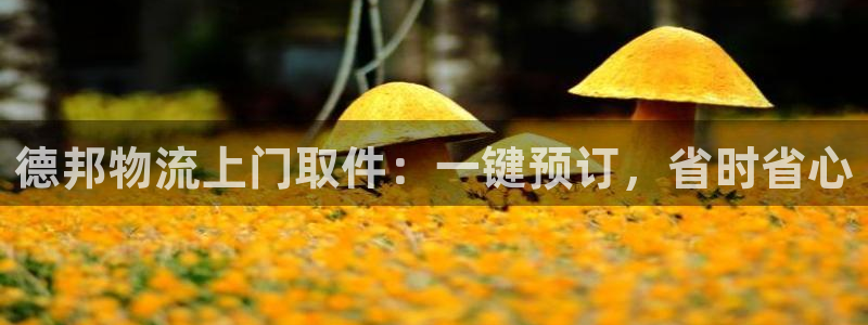 28圈：德邦物流上门取件：一键预订，