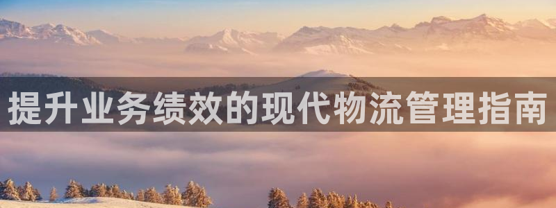 28圈游戏最新版：提升业务绩效的现代