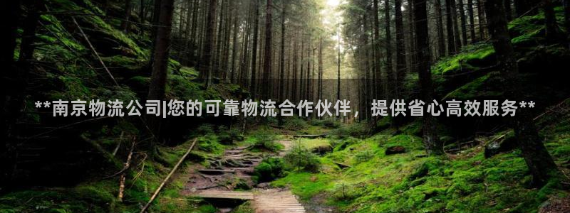 28圈是正规平台吗：**南京物流公司