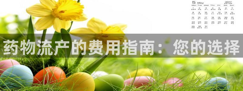 28圈加拿大怎么玩