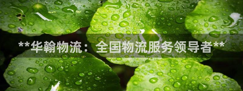 28圈充值不到账