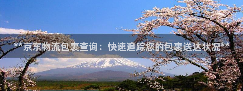 28圈麻将：**京东物流包裹查询：快