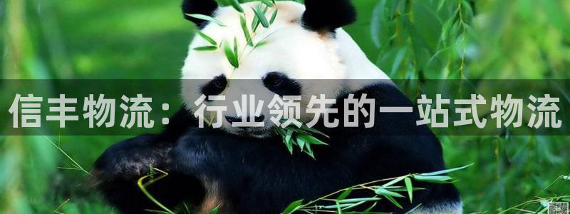 28圈充值方式：信丰物流：行业领先的