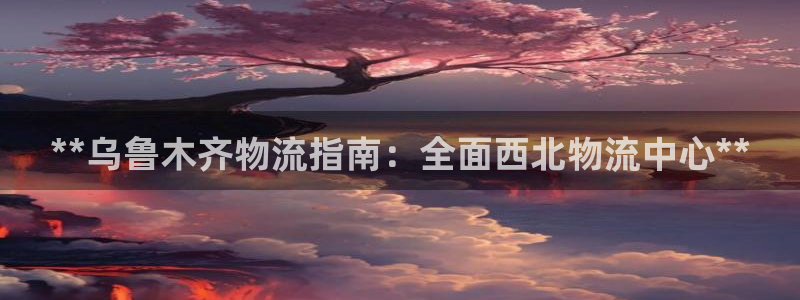 28圈大神预测：**乌鲁木齐物流指南