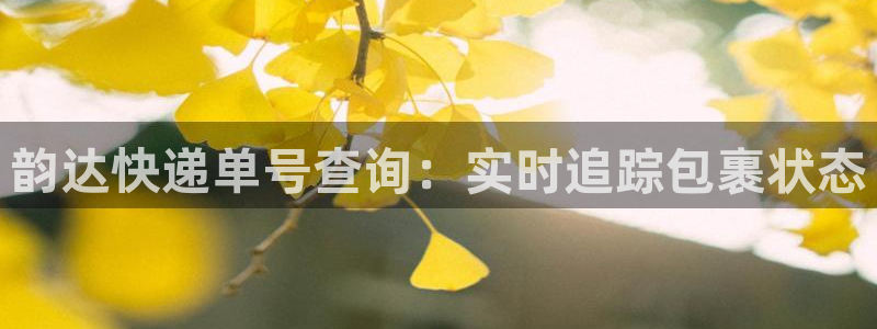 28圈电子游戏：韵达快递单号查询：实