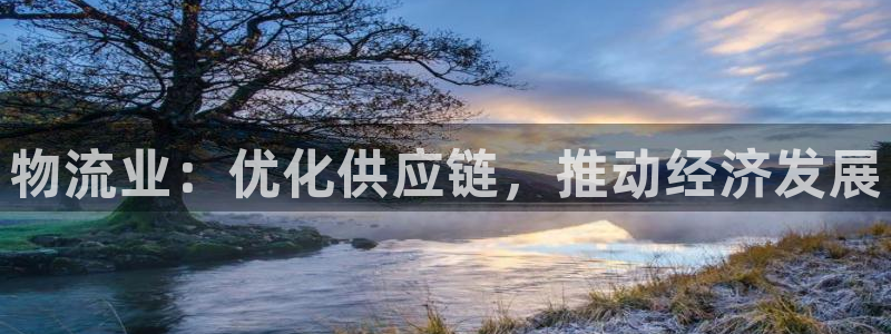 28圈ip被限制怎么解决：物流业：优