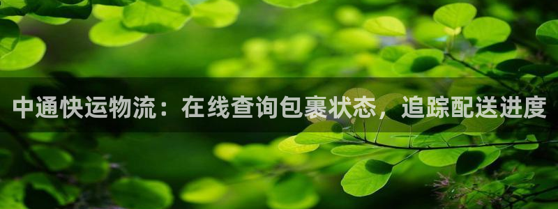 28圈注册网站谁有：中通快运物流：在