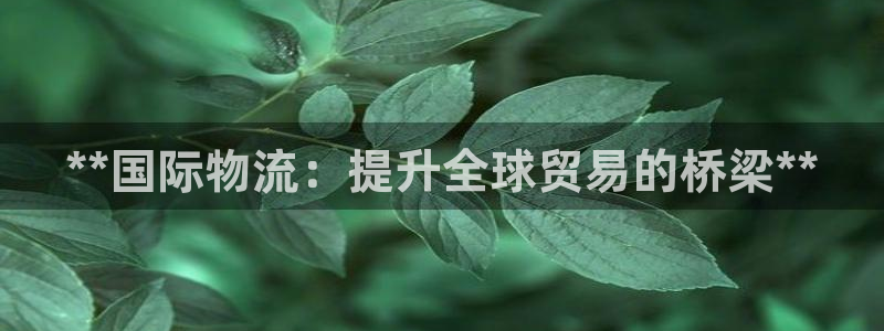 28圈登录不上咋回事：**国际物流：