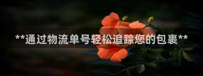 28圈比特28预测在线预测：**通过