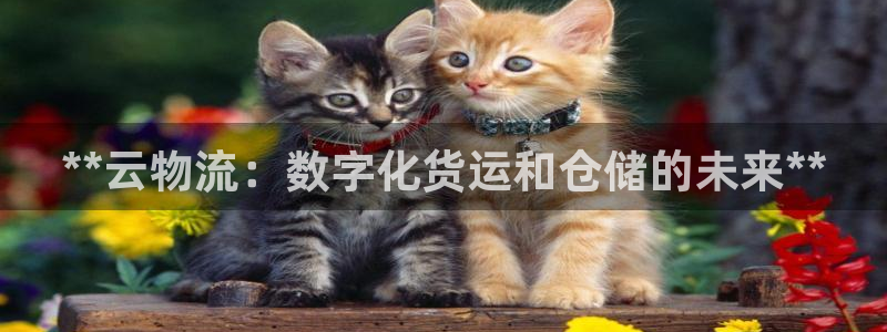 28圈如何看012路计划：**云物流