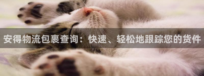28圈游戏官网入口：安得物流包裹查询