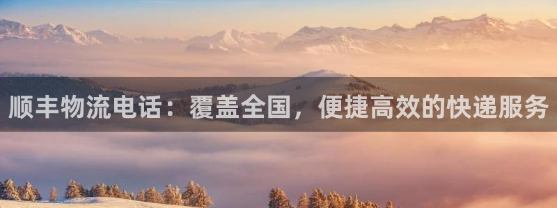 28圈官网多少