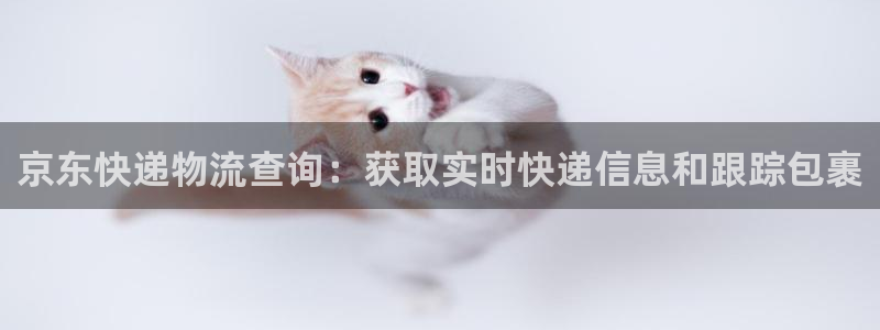 28圈下分了不给钱：京东快递物流查询