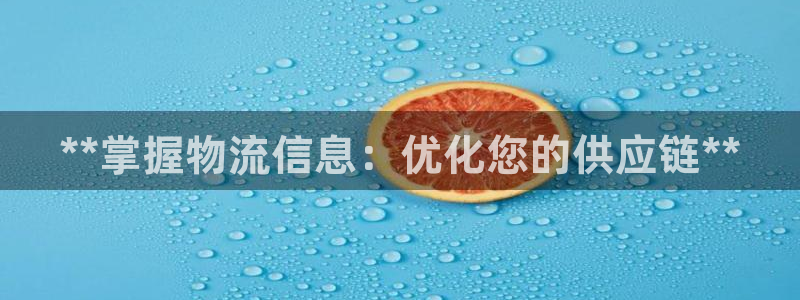 28圈.ccm：**掌握物流信息：优