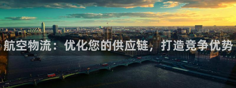 28圈.ccmo：航空物流：优化您的