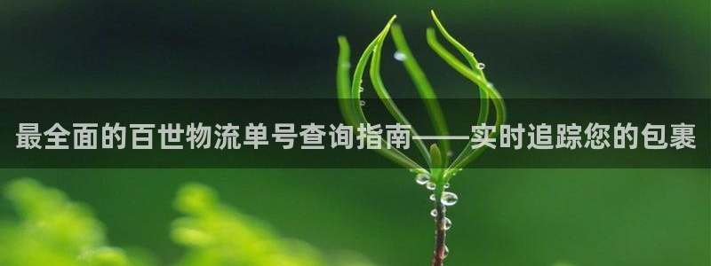 28圈p扣除