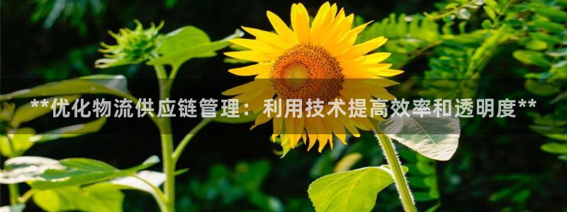 28圈