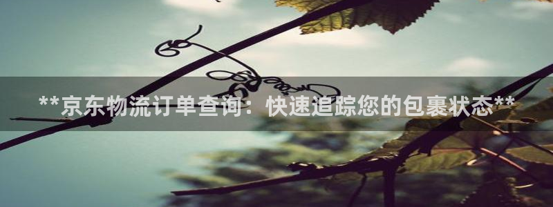 28圈连接：**京东物流订单查询：快