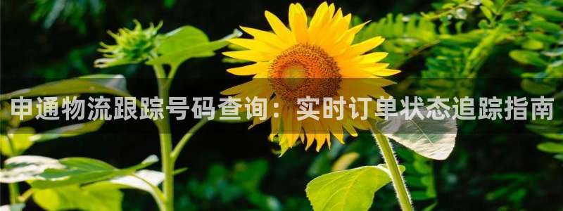 28圈分分压单双技巧