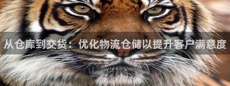 28圈黑吗