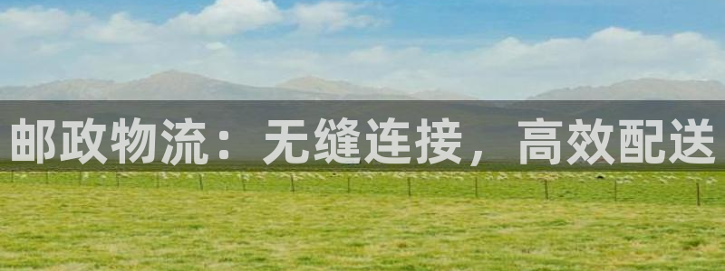 28圈预测