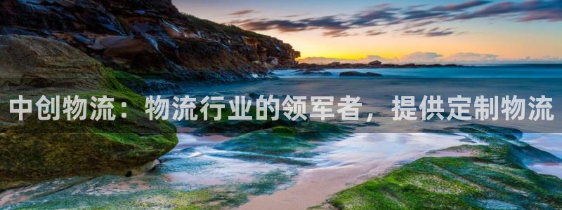 28圈ccm游戏：中创物流：物流行业