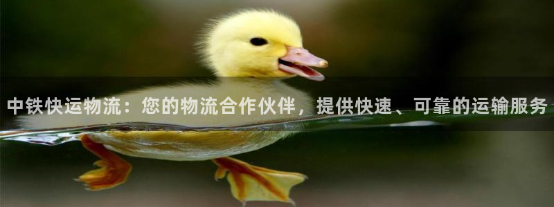 28圈p图上分下款通道：中铁快运物流