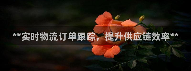 28圈下载不了：**实时物流订单跟踪