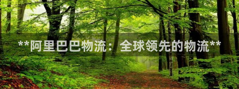 28圈连输10天：**阿里巴巴物流：