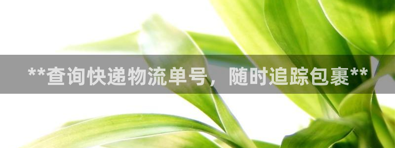 28圈注册网站谁有：**查询快递物流