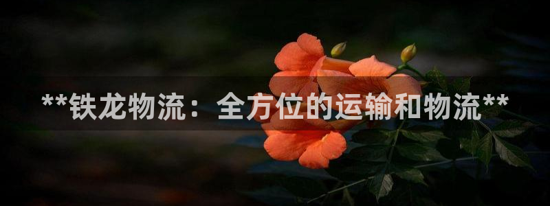 28圈网站平台是多少：**铁龙物流：
