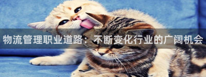 28圈cn：物流管理职业道路：不断变