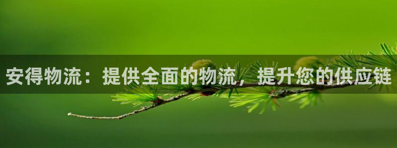 28圈注册平台：安得物流：提供全面的