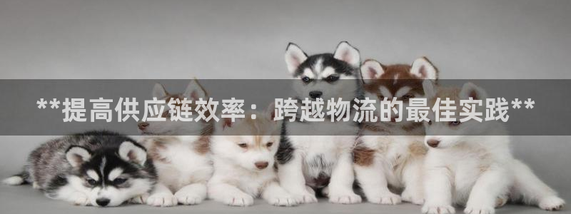 28圈.ccmo：**提高供应链效率