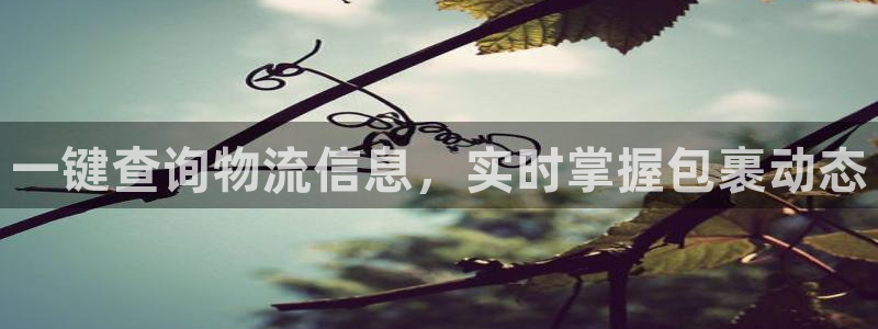 28圈注册网站多少钱一个：一键查询物