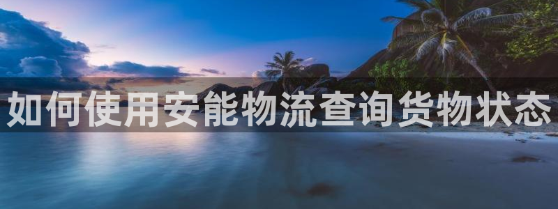 28圈违法吗：如何使用安能物流查询货