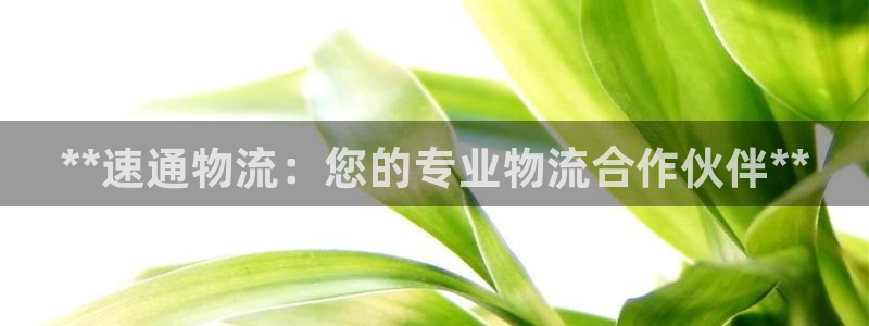 28圈黑款