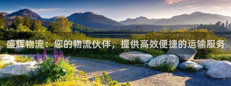 28圈注册网站：盛辉物流：您的物流伙
