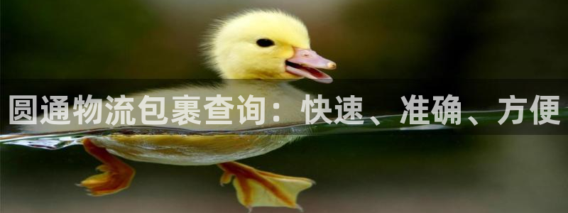 28圈激活码