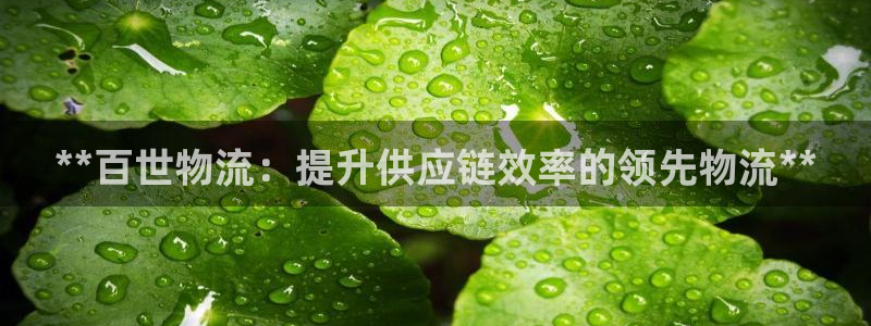 28圈注册链接入口：**百世物流：提