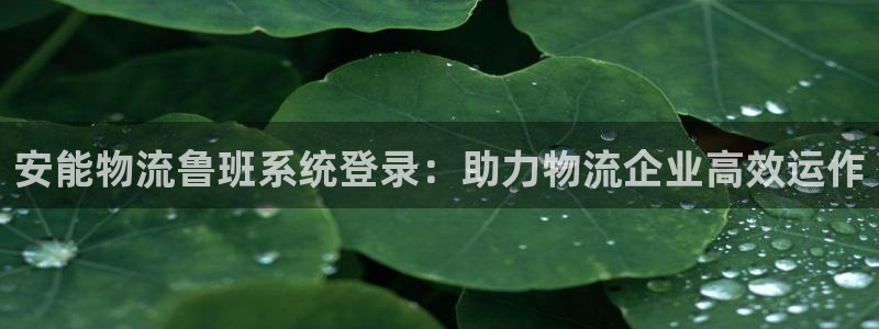 28圈游戏：安能物流鲁班系统登录：助