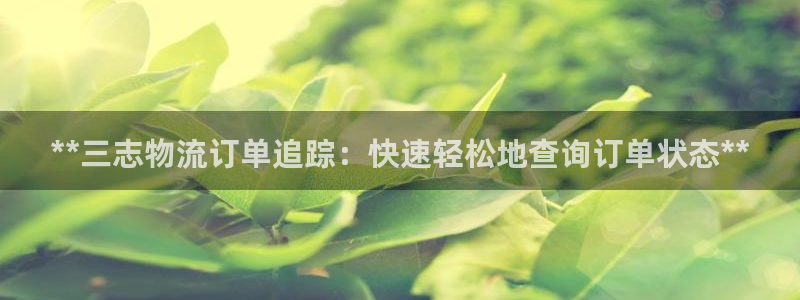 28圈游戏最新版