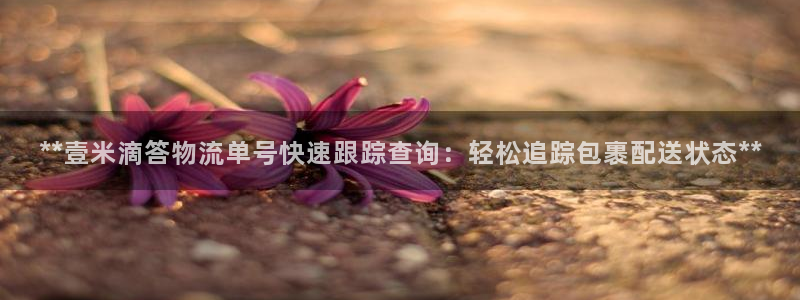 28圈v6能卖多少