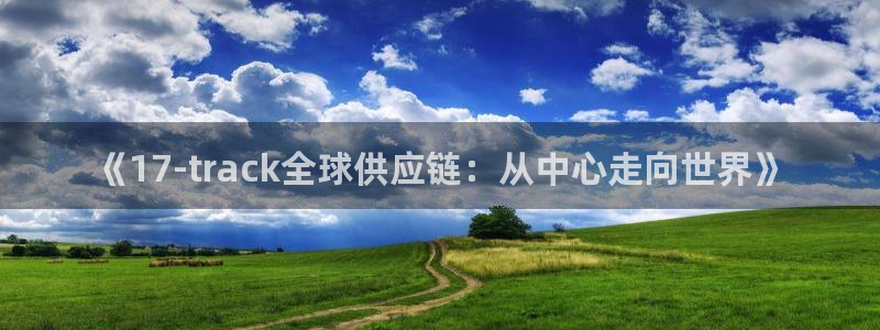 28圈昵称：《17-track全球供