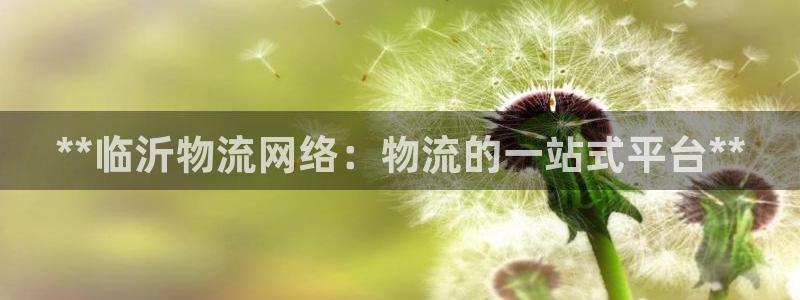 28圈游戏官网版：**临沂物流网络：