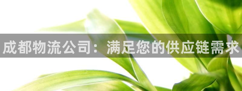 28圈加拿大预测